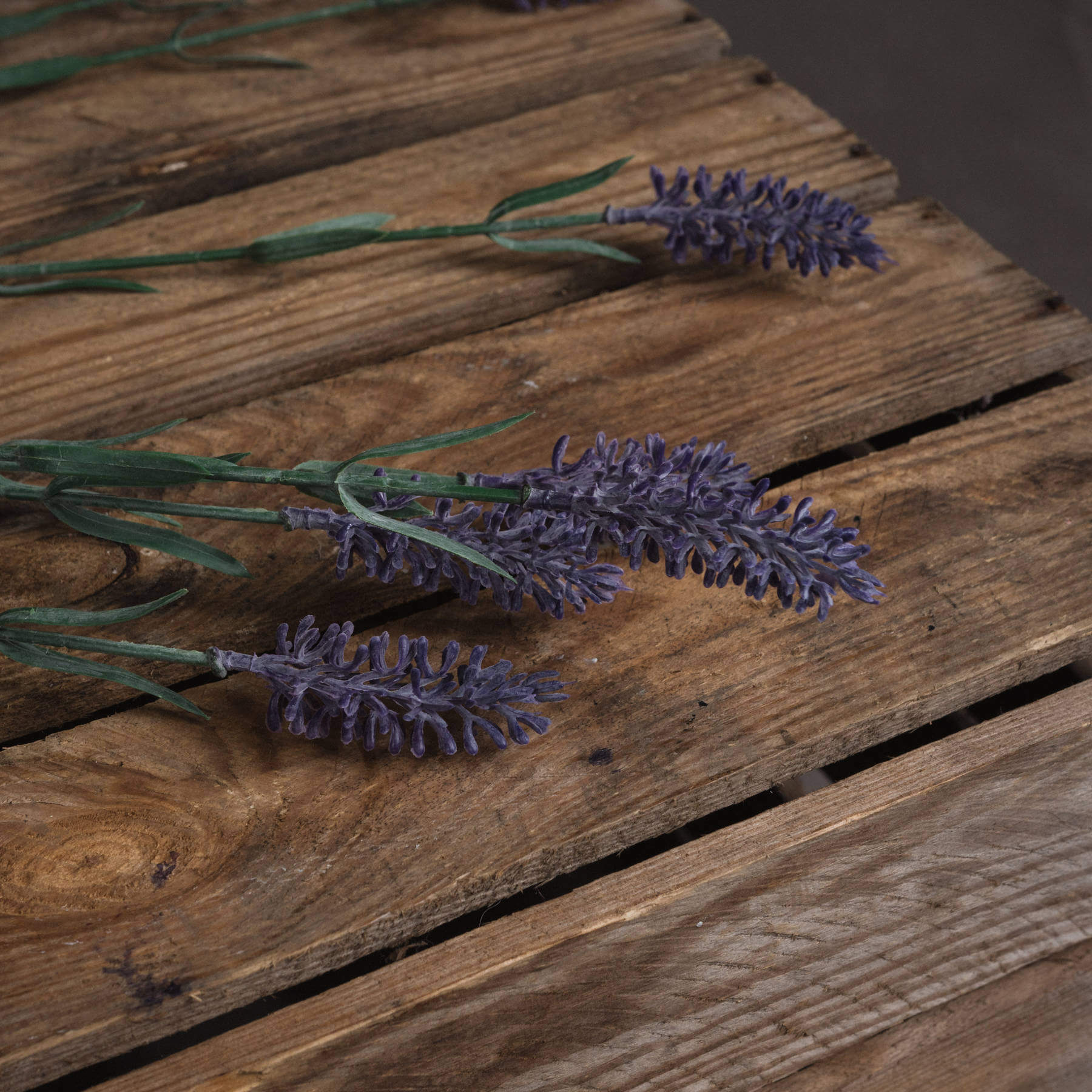 French Lavender Artificial Stem Life Like and Forever Fresh