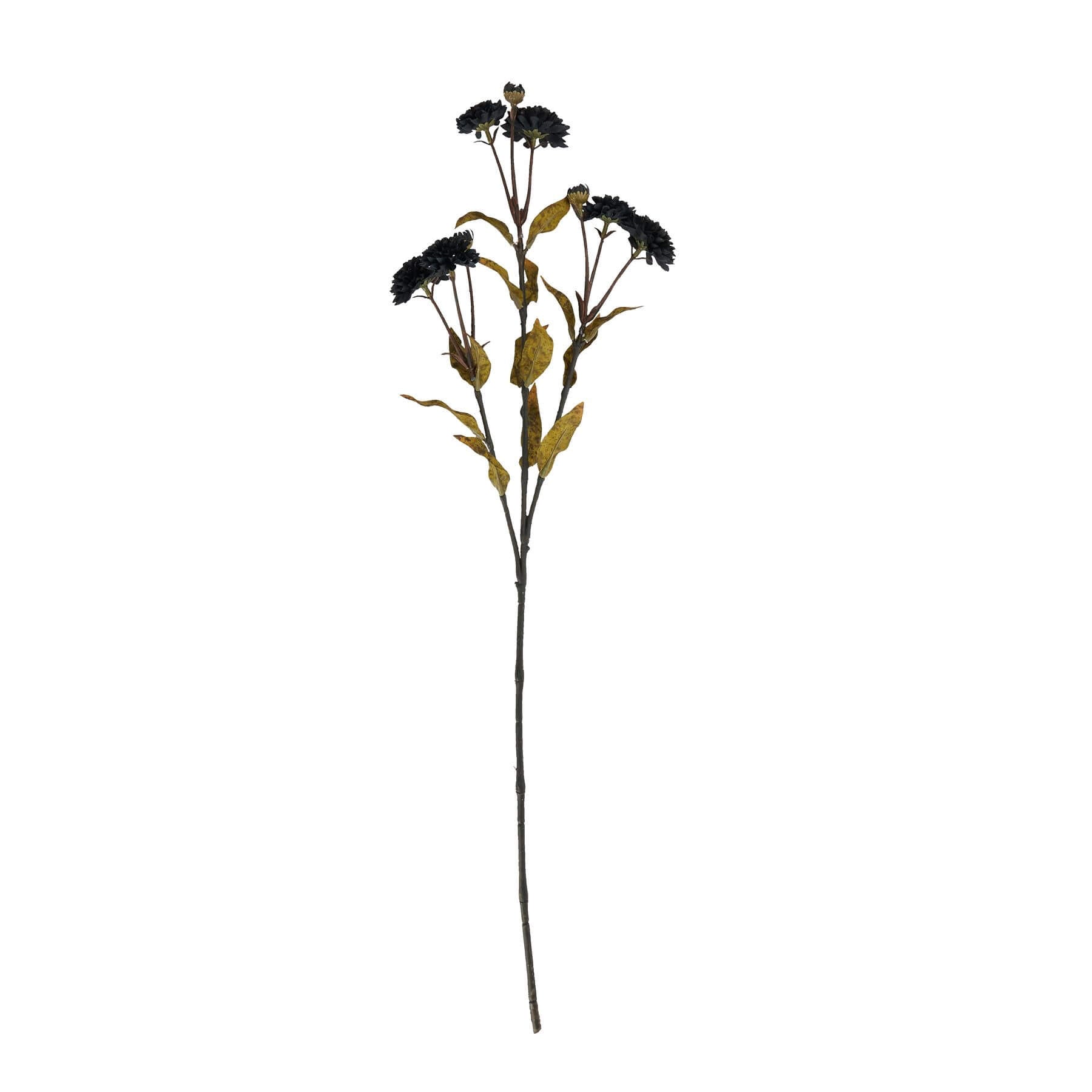 Noir Chrysanthemum Stem for Dramatic Home Decor