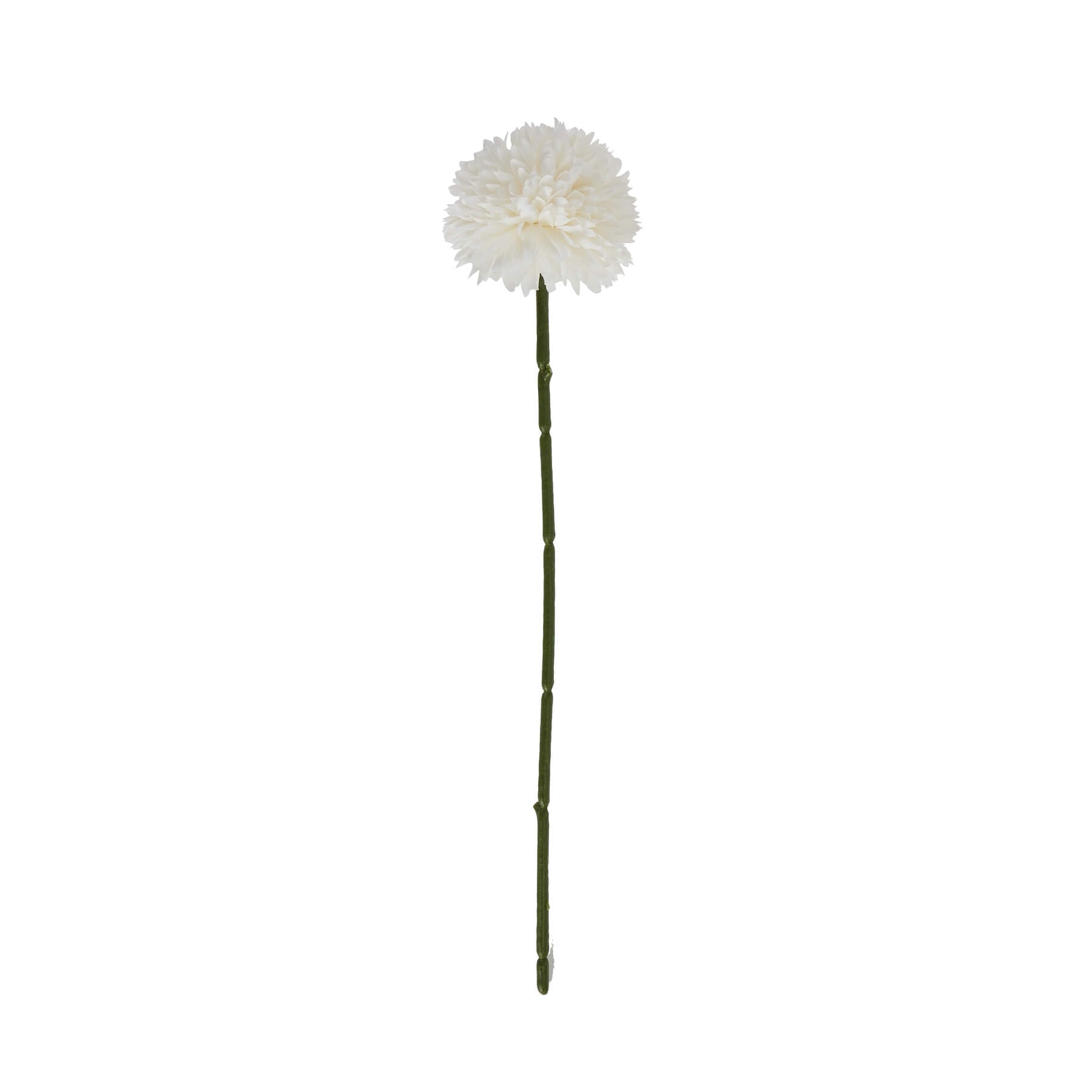 Pure White Short Chrysanthemum for Effortless Home Styling