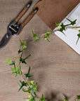 Green Ivy Artificial Garland for Indoor Spaces