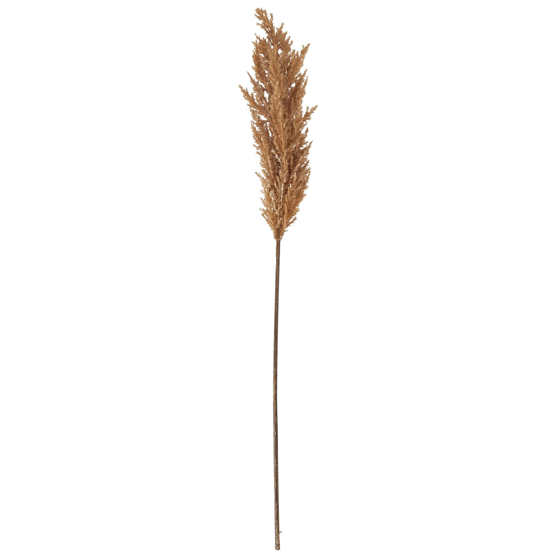 Taupe Faux Pampas Grass Stem for Stylish Interiors