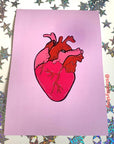 Pink and red anatomical heart hand drawn art print in A5 or A4