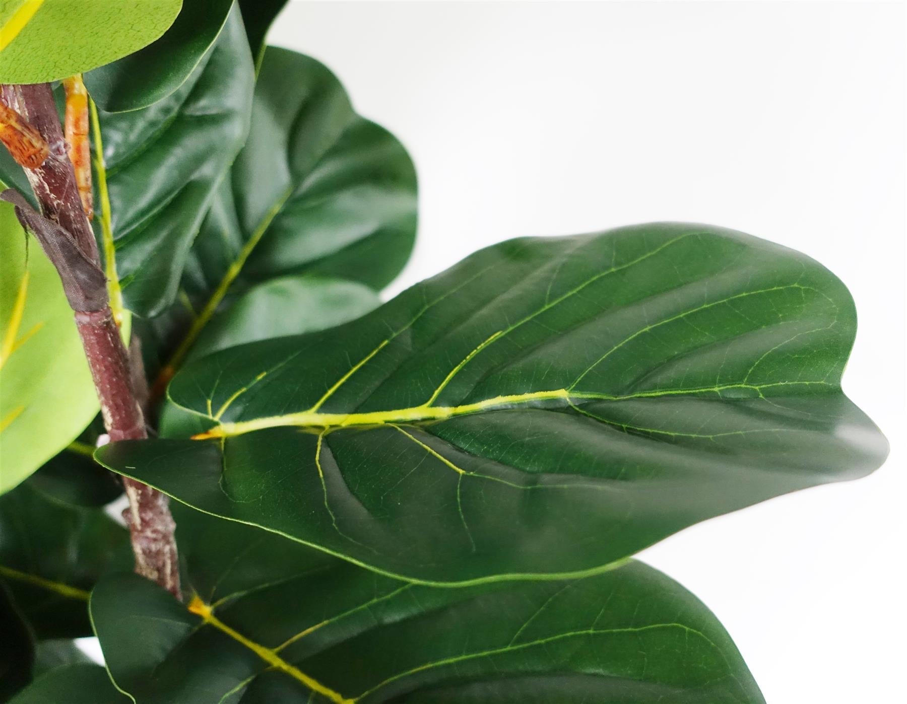 180cm Premium Artificial Fiddle Leaf Fig Tree-3