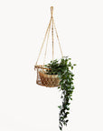 Jhuri Single Hanging Basket