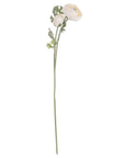Soft Cream Ranunculus Stems for Delightfully Stylish Home Decor