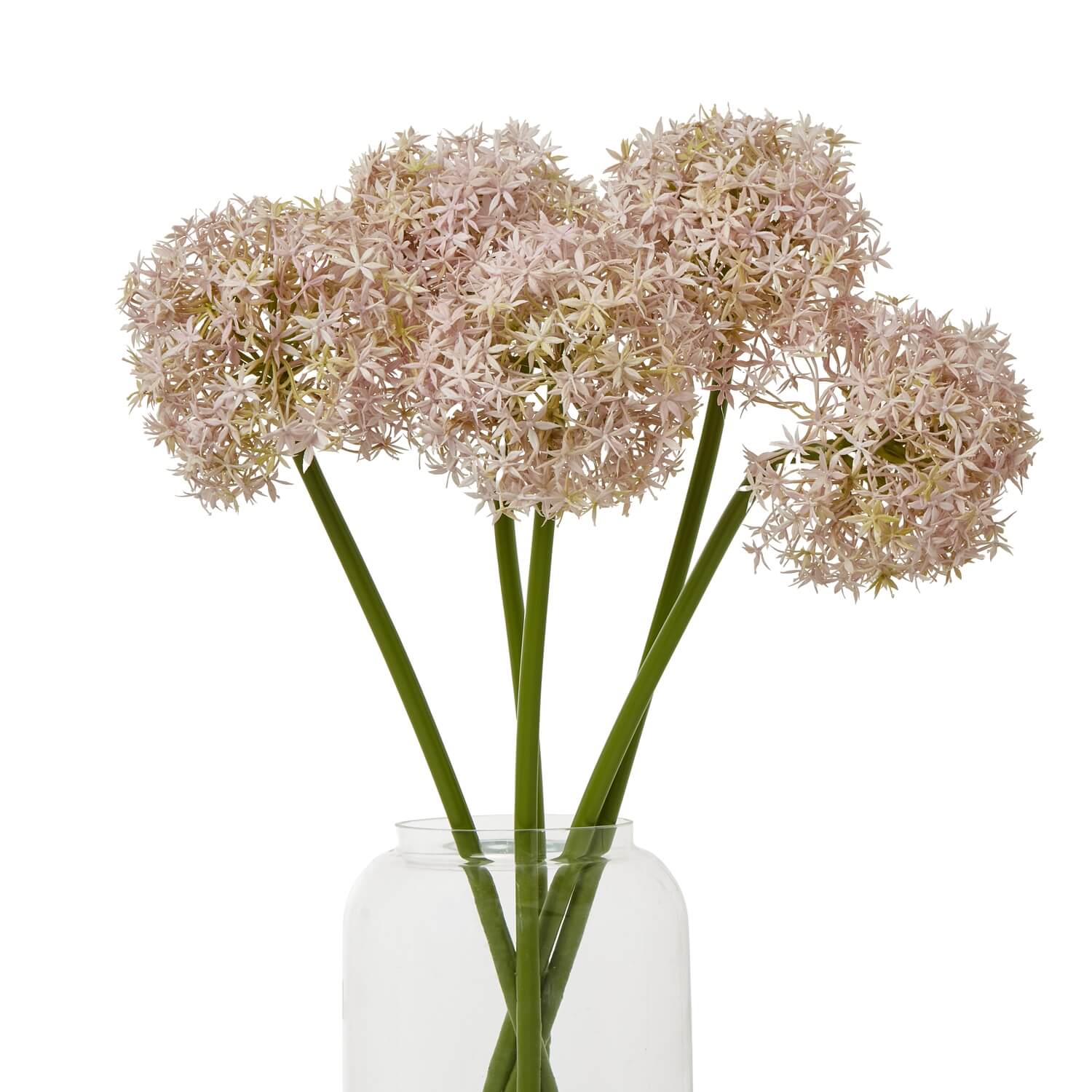 Lilac Allium Stem for Vases and Home Styling