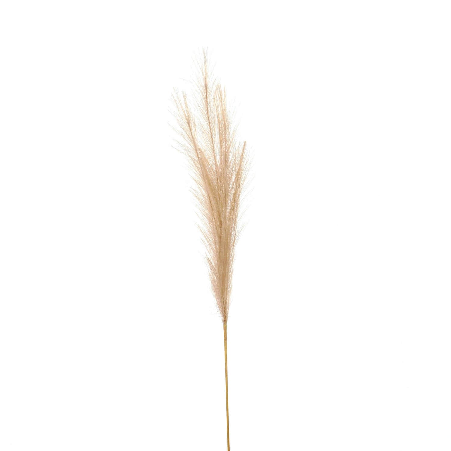 Lifelike bleached faux pampas grass stem, 85cm tall, soft white for modern home decor by sostter at brixbailey.com