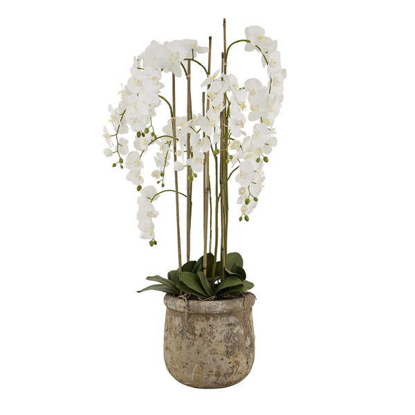 5ft white artificial orchid in distressed stone pot, lifelike blooms and green leaves, elegant home decor centerpiece by Sostter at brixbailey.com