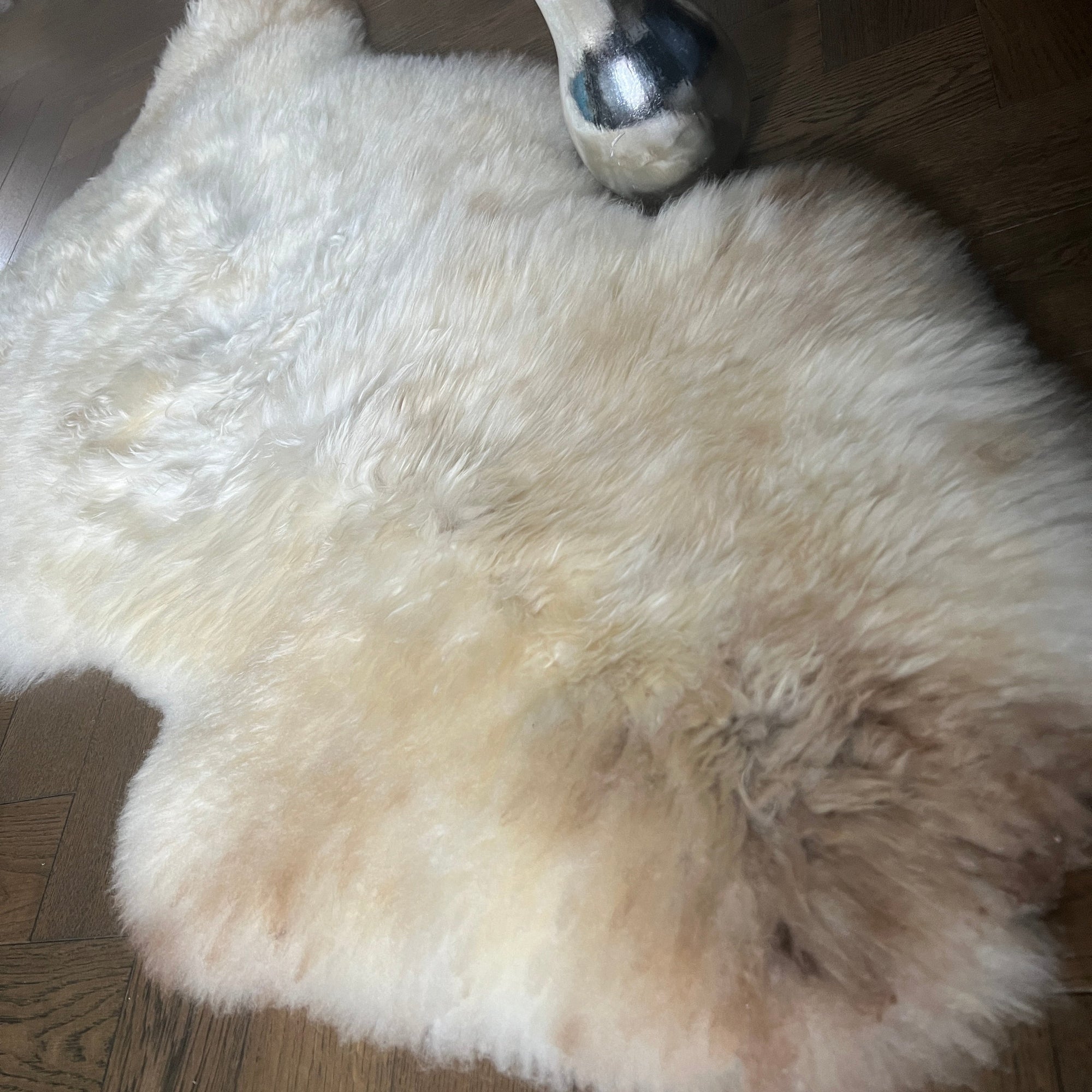Premium champagne mix sheepskin rug, 100% natural undyed fleece, soft silky fur, luxury large rare breed sheepskin, UK European sourced by Wildash London at brixbailey.com