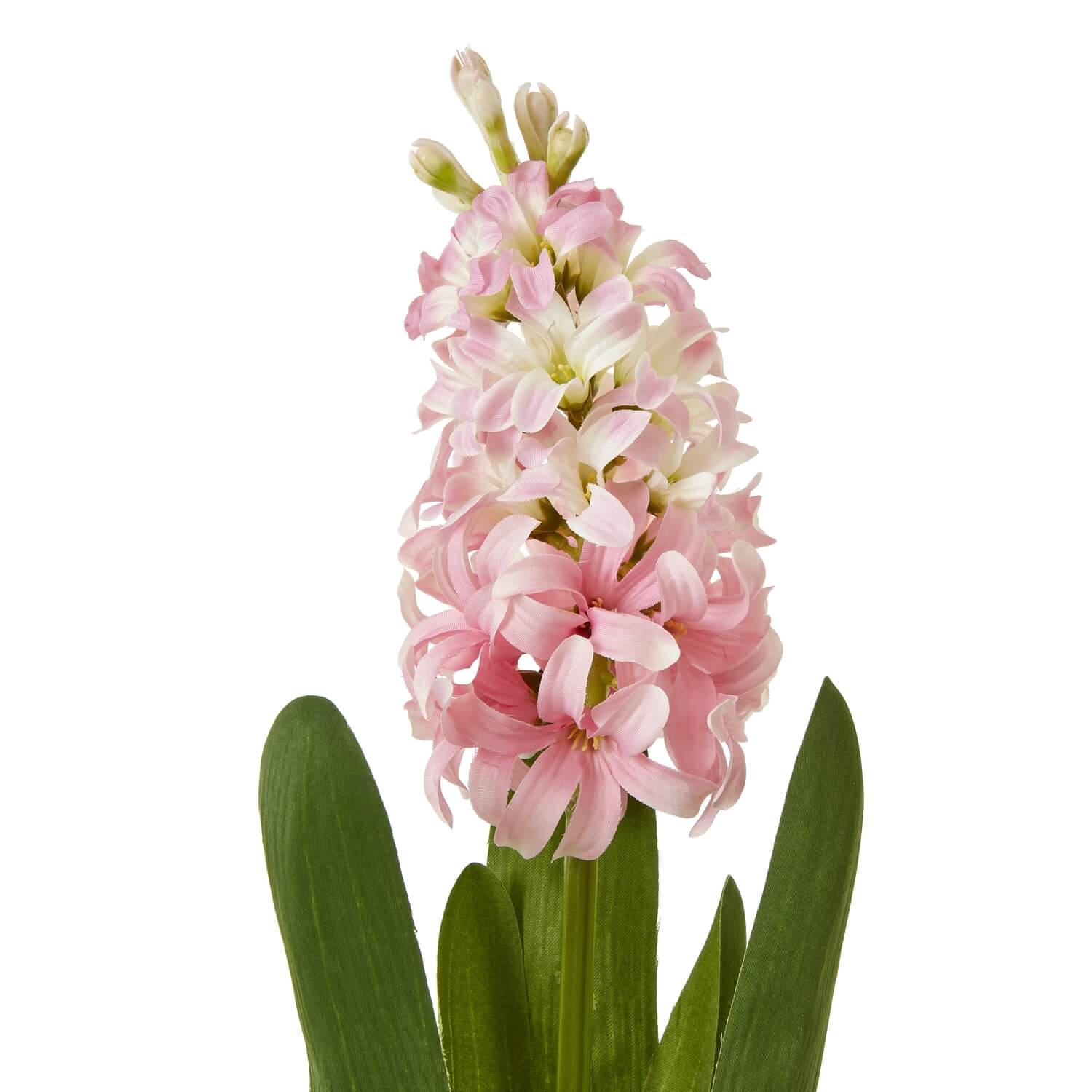 Pink Hyacinth Stem Spray