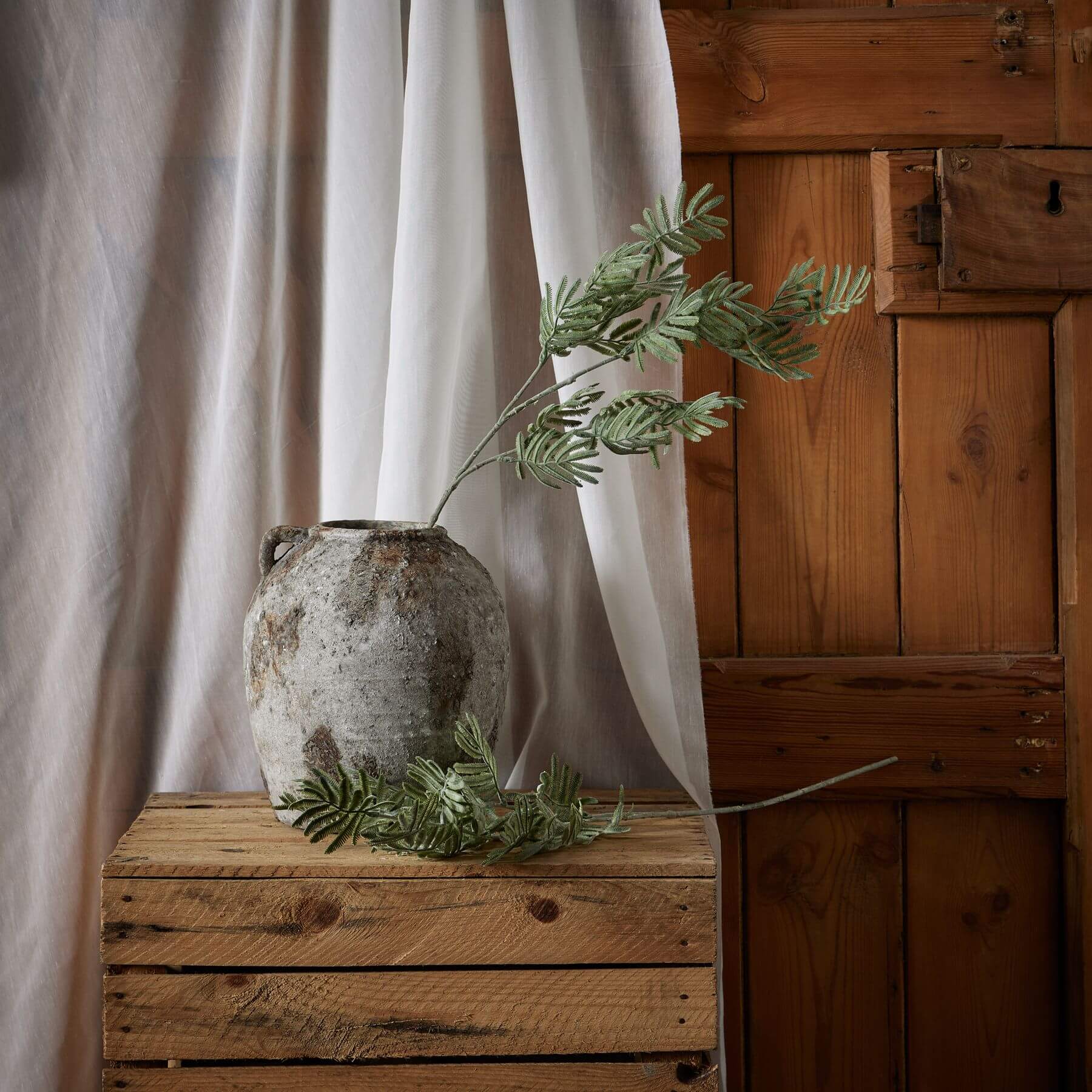 Silver Wattle Leaf Stem for a Calm Natural Look