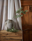 Silver Wattle Leaf Stem for a Calm Natural Look