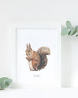 Painted Squirrel Watercolour Art Print