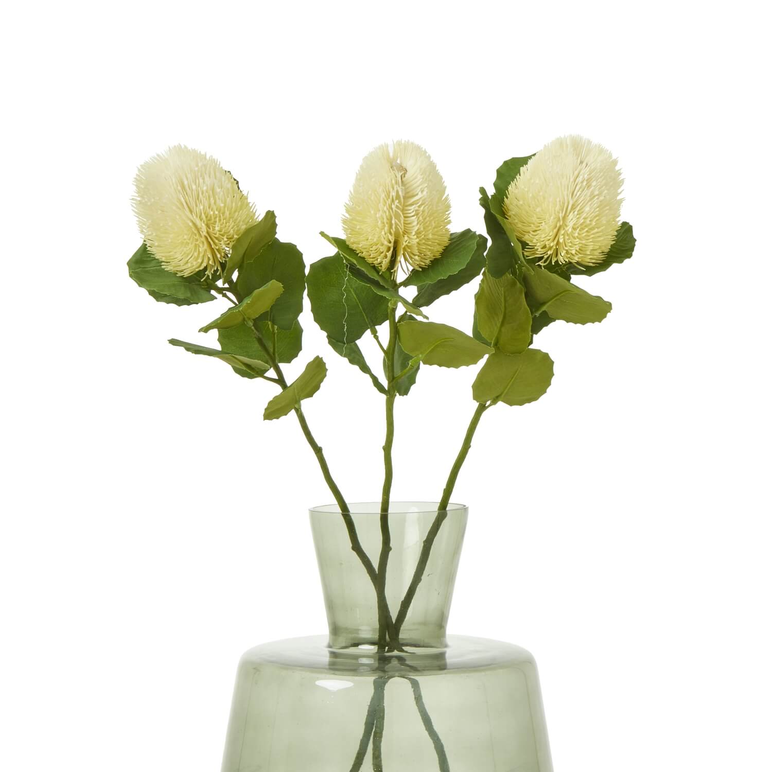 Luxury Cream Banksia Stem | Elegant Floral Decor