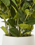 White Hydrangea Artificial Plant in Pot