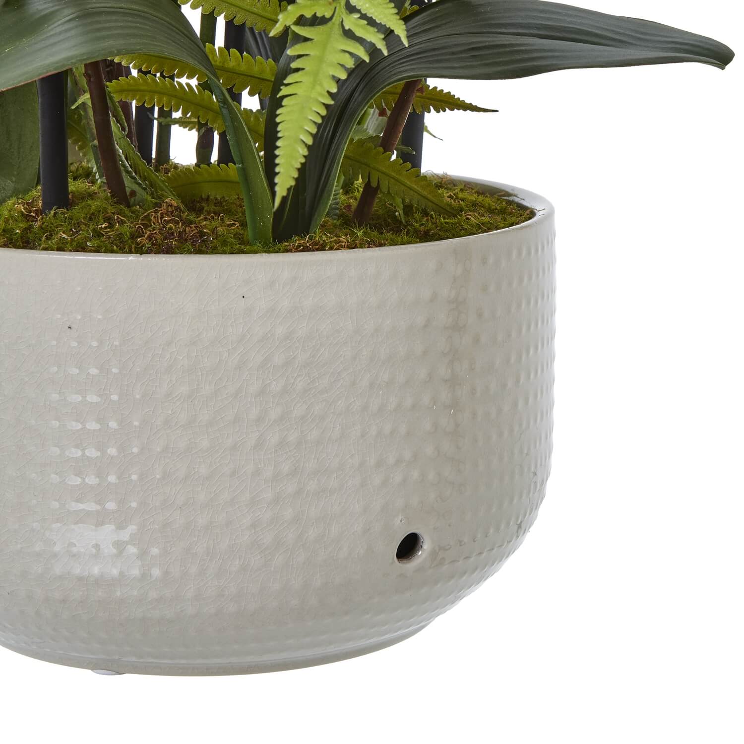 White Orchid in Ceramic Pot for Home Decor
