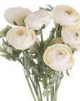Soft Cream Ranunculus Stems for Delightfully Stylish Home Decor