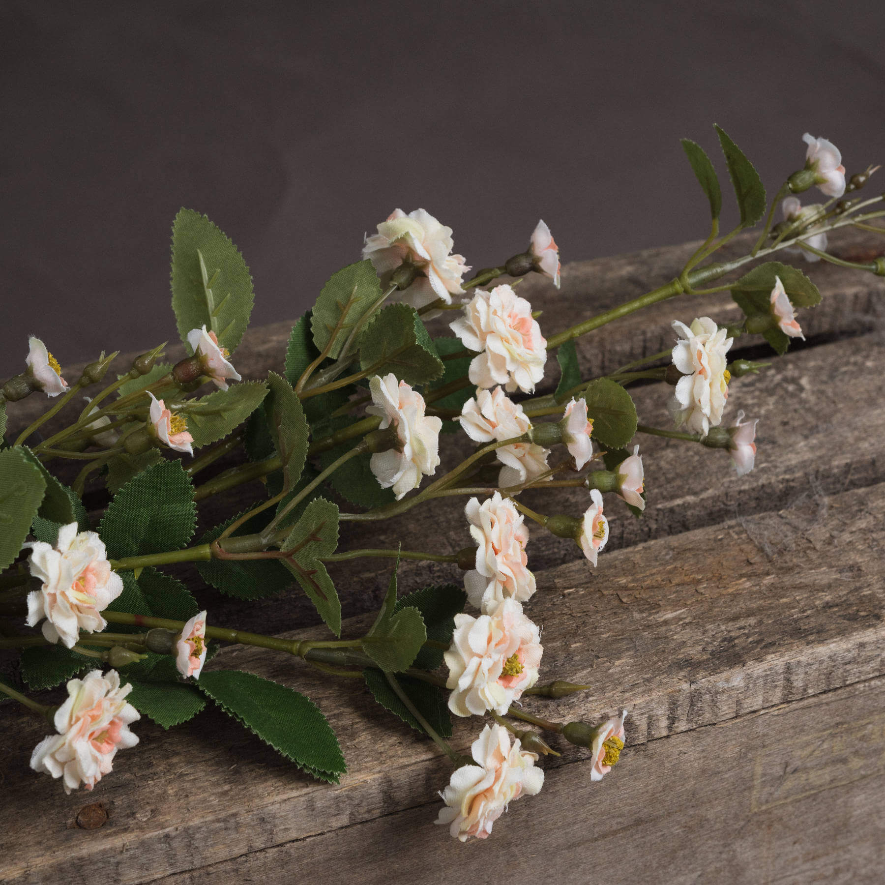 Cream Wild Rose Stem Faux Bloom