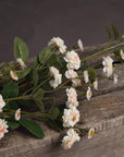 Cream Wild Rose Stem Faux Bloom