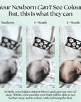 0+ Month Newborn Sensory Cards