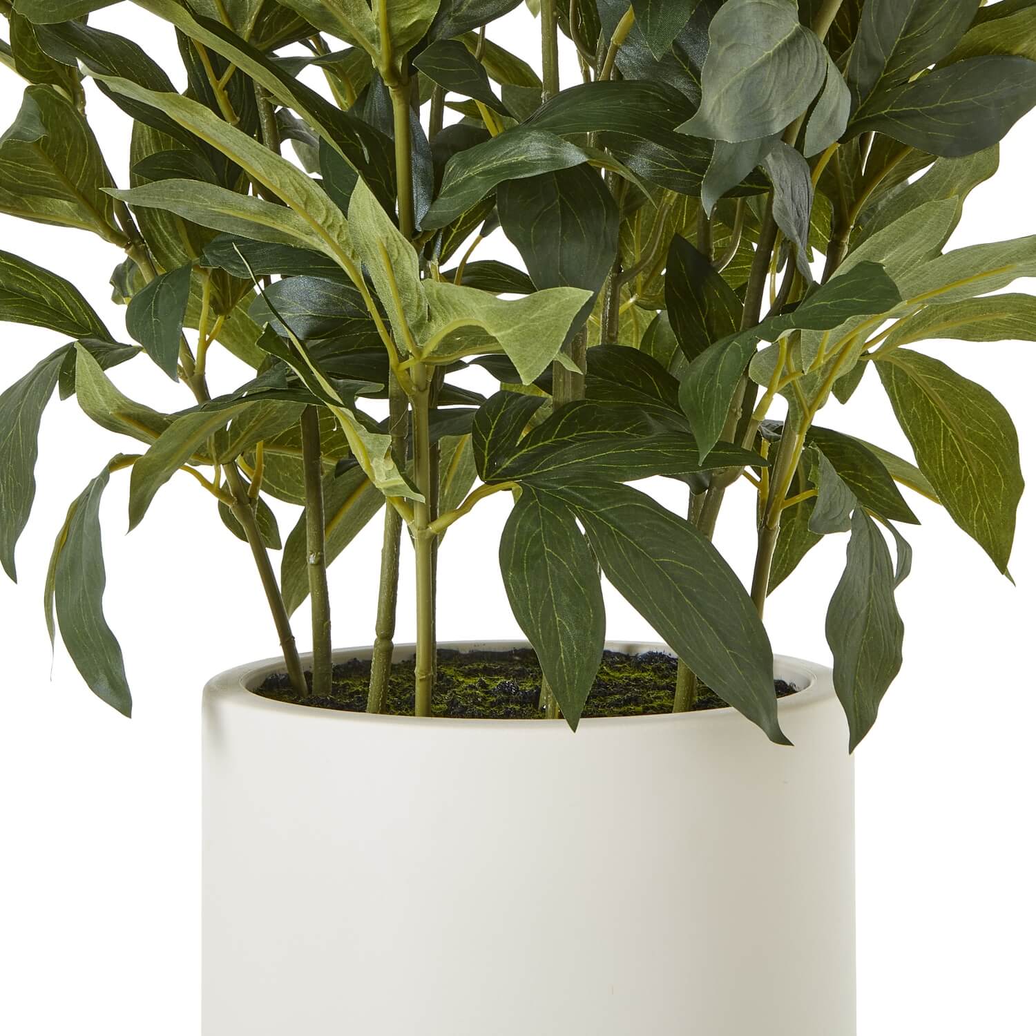 Large White Peony Faux Plant in Decorative Pot