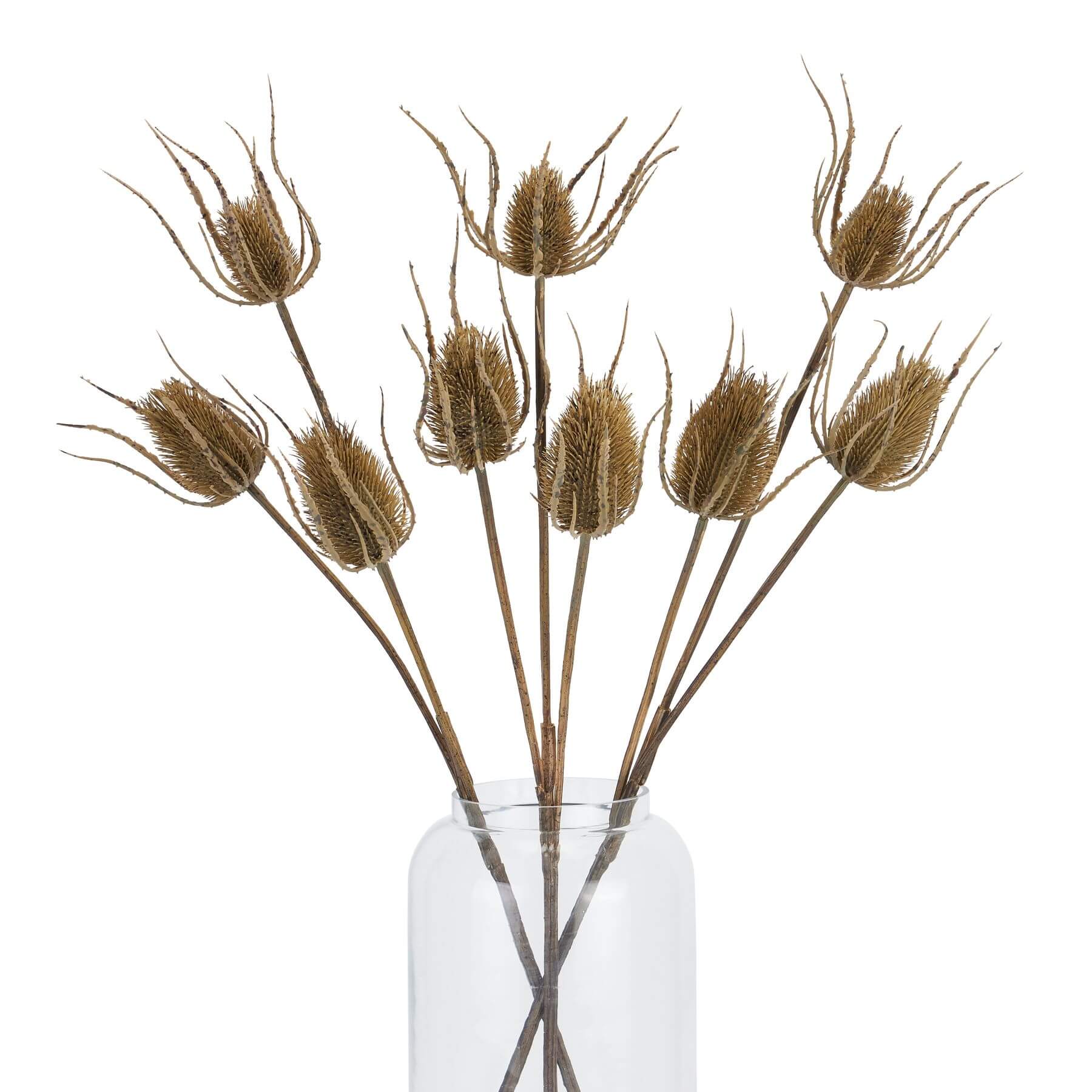 Triple Teasle Artificial Stem for Wild Style Interiors