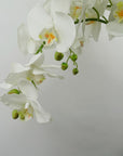 Giant White Orchid Plant Artificial 189 flowers REAL TOUCH Botanik-3