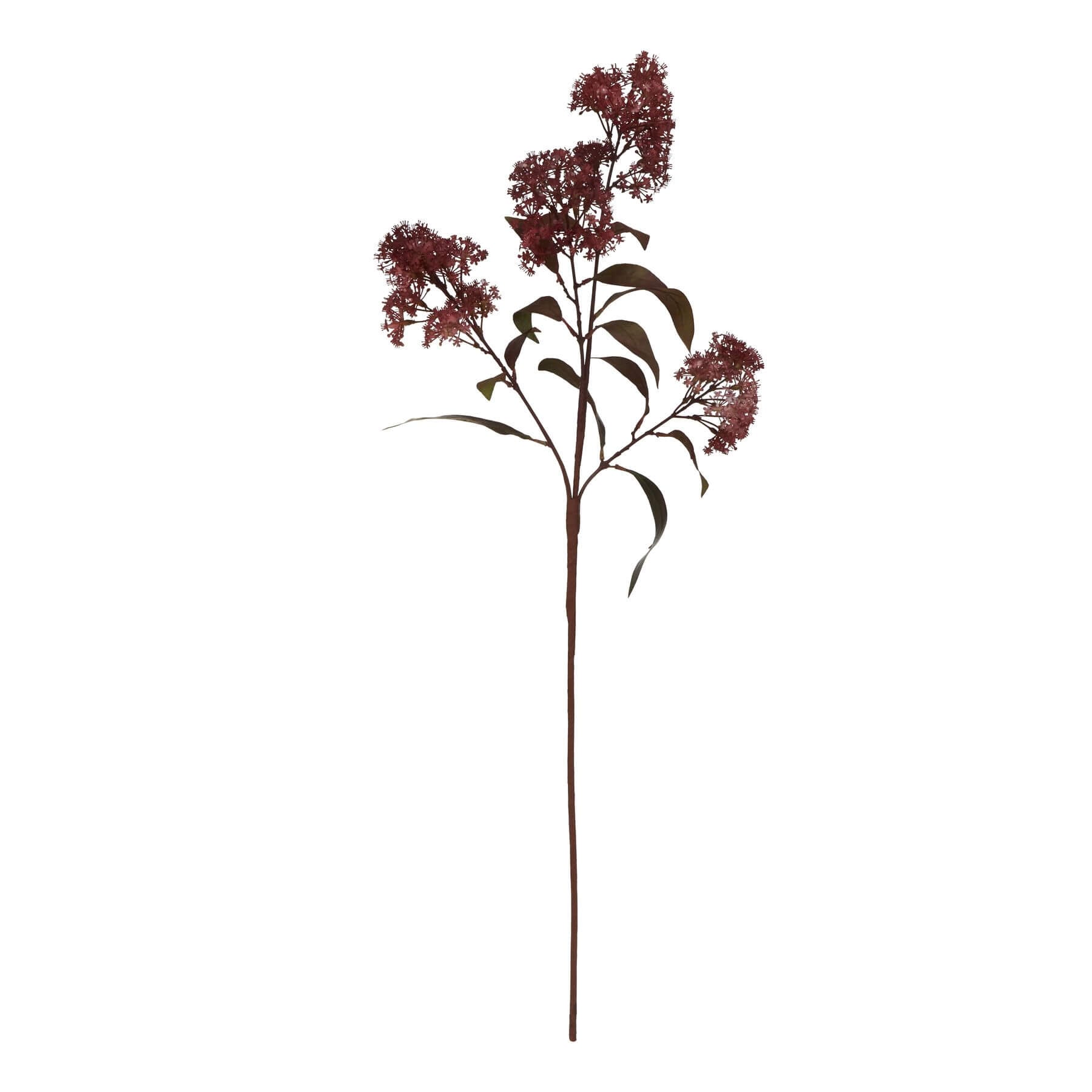 Burgundy Smokebush Stem Medium Floral Decoration