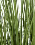 Large Artificial Onion Grass in Decorative Pot for Indoor Styling