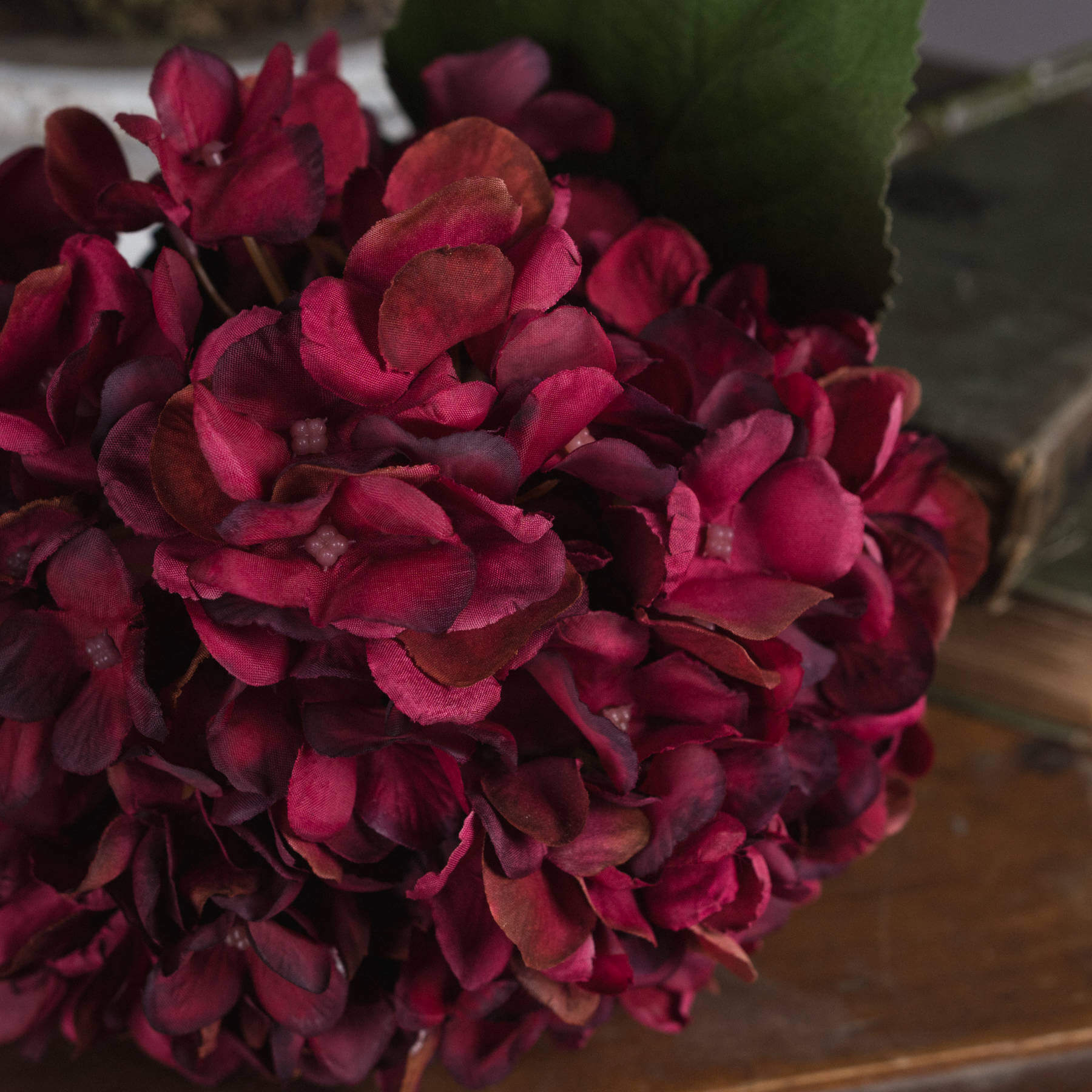 Autumn Ruby Hydrangea Stem with Lush Fall Blooms