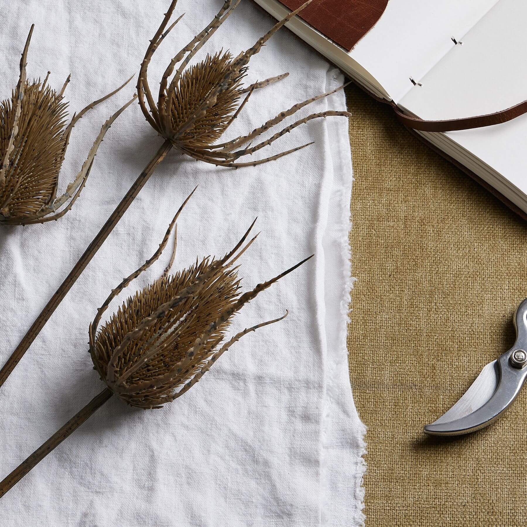 Triple Teasle Artificial Stem for Wild Style Interiors