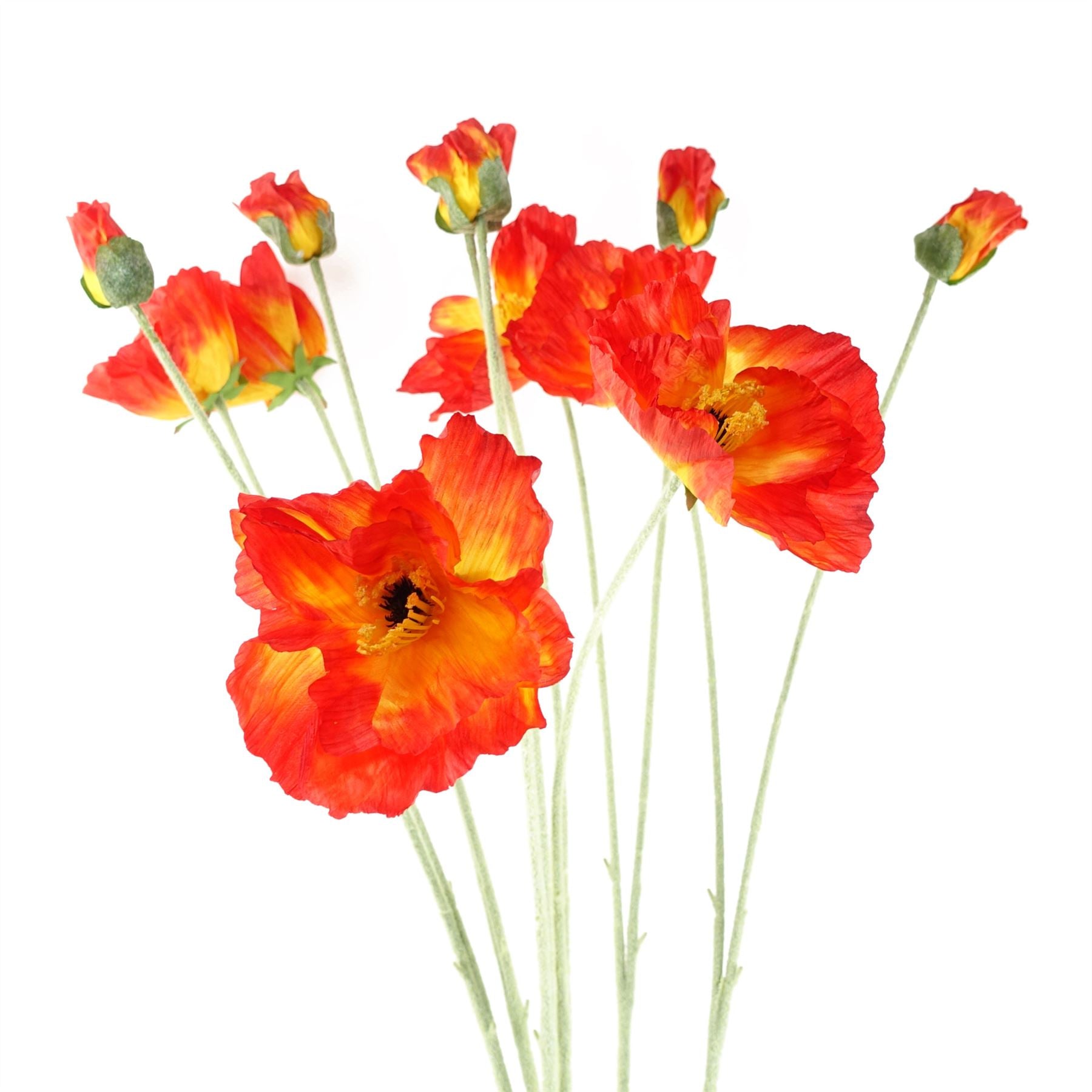 Pack of 6 x Artificial Flowers Poppy Stem - 2 Flowers 100cm-0