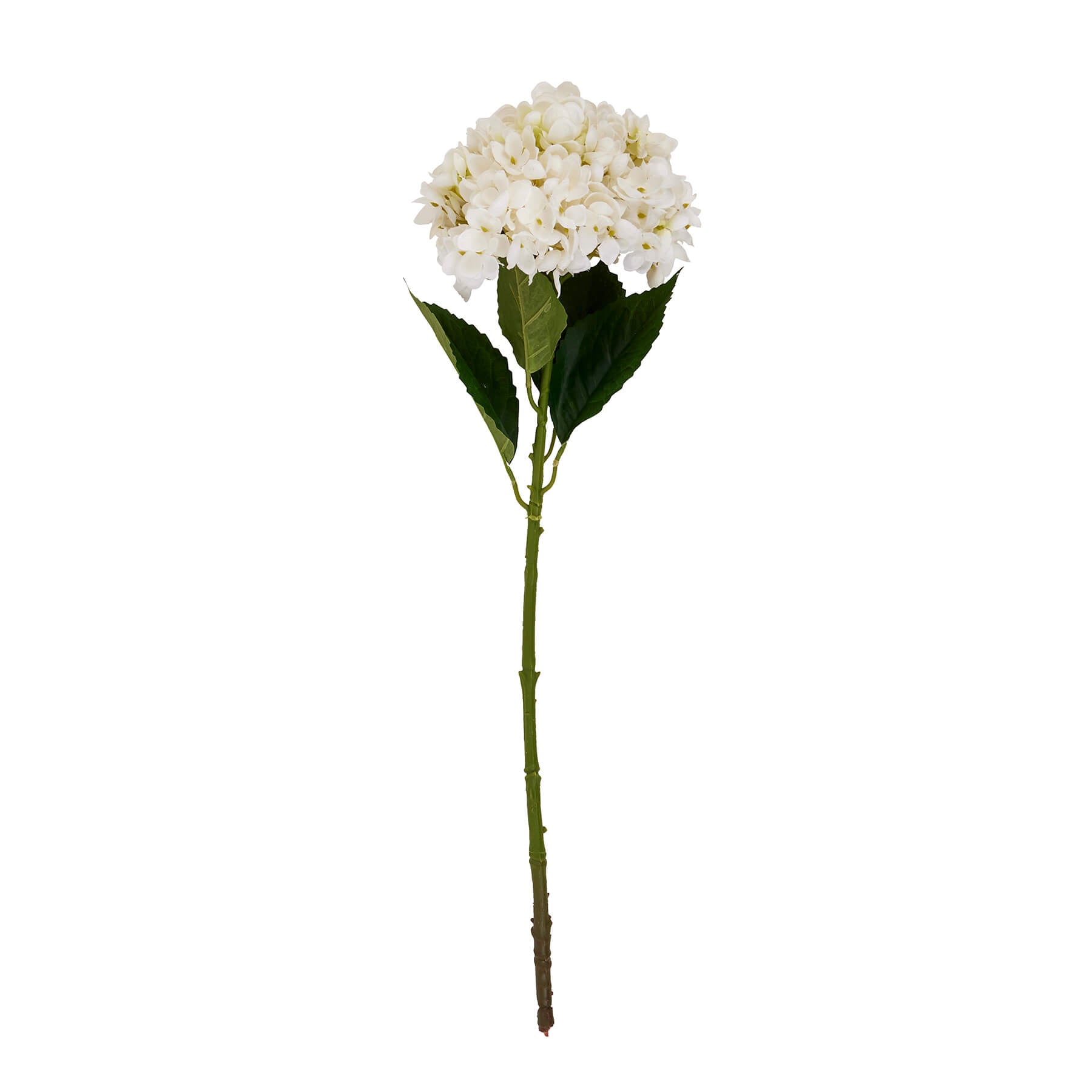 Elegant White Hydrangea Stem | Floral Home Decor