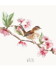Wren British Garden Bird Personalised Print
