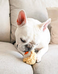 Dim Sum Pop enrichment dog toy