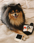 Instant Camera dog enrichment toy