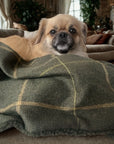 Arlo Forest Green Check Pet Blanket | Reversible Lambswool Sherpa | Handmade Luxury Dog Throw | Machine Washable UK