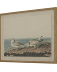 Linen Wall Art with Beaded Frame and Shorebirds