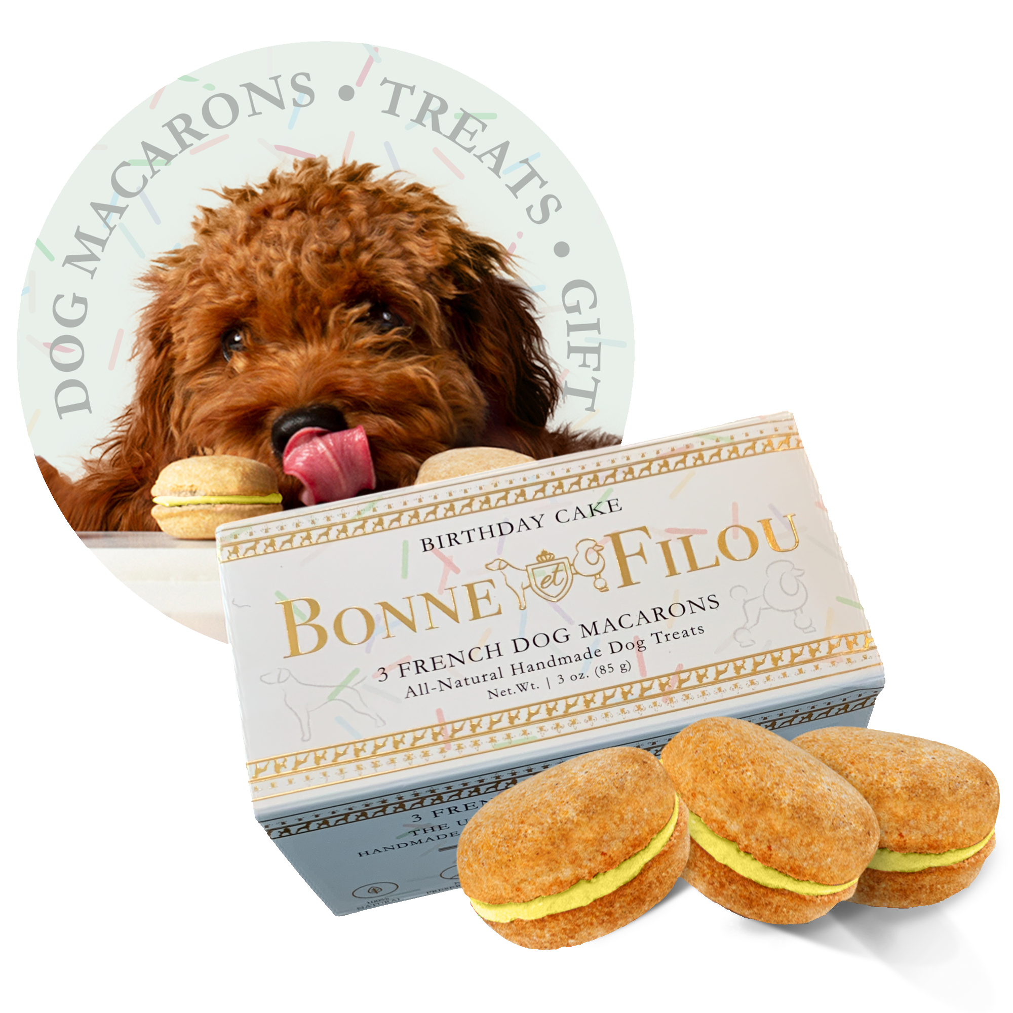 Dog Macarons (Box of 3)