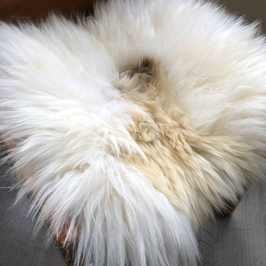 Luxury British sheepskin seat cover, lights cream and brown rare breed, 37cm square, premium natural hide, hypoallergenic, sustainable by Wildash London at brixbailey.com