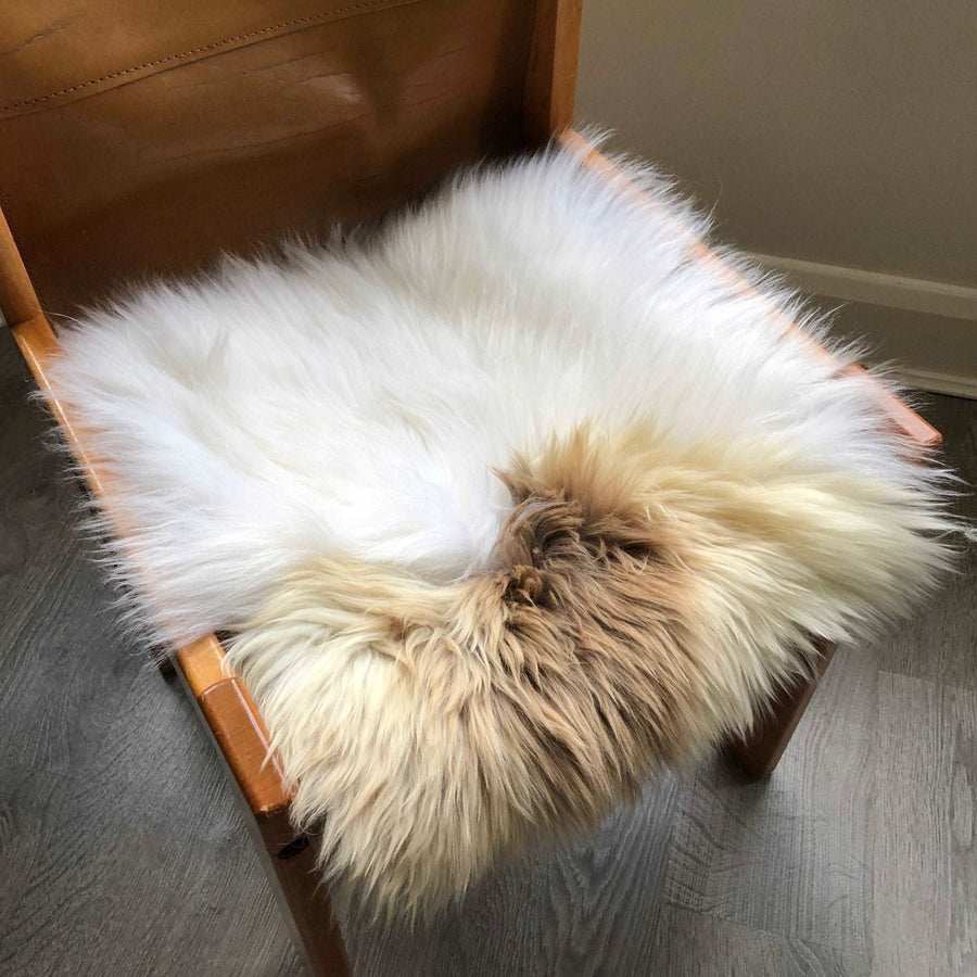 Luxury British sheepskin seat cover, lights cream and brown rare breed, 37cm square, premium natural hide, hypoallergenic, therapeutic by Wildash London at brixbailey.com