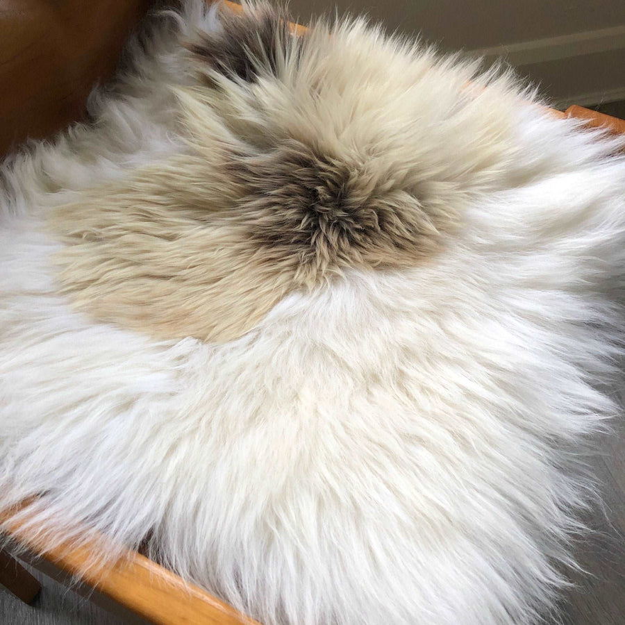Luxury British sheepskin seat cover, lights cream with brown rare breed mix, 37cm x 37cm, premium natural hide, hypoallergenic, sustainable by Wildash London at brixbailey.com