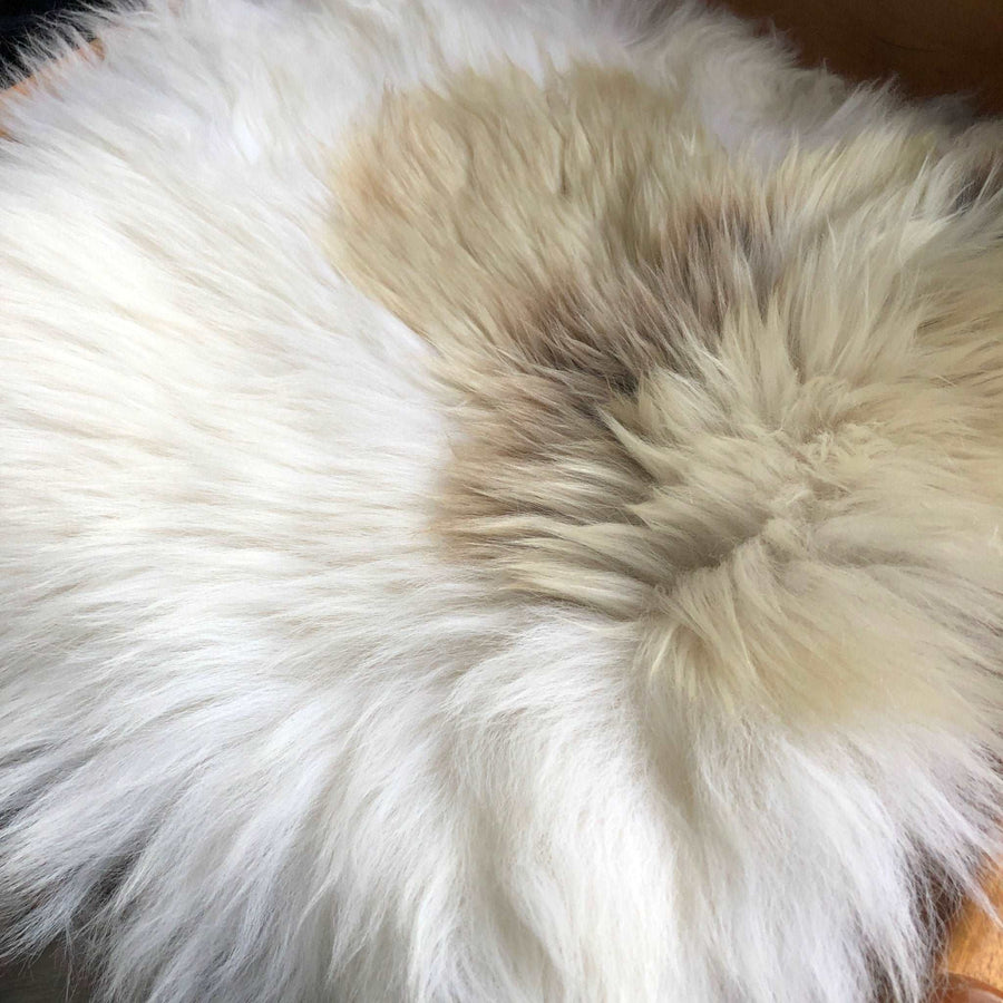 Luxury British sheepskin seat cover, 37cm square, lights cream and brown rare breed, premium natural sheepskin, hypoallergenic, sustainable by Wildash London at brixbailey.com