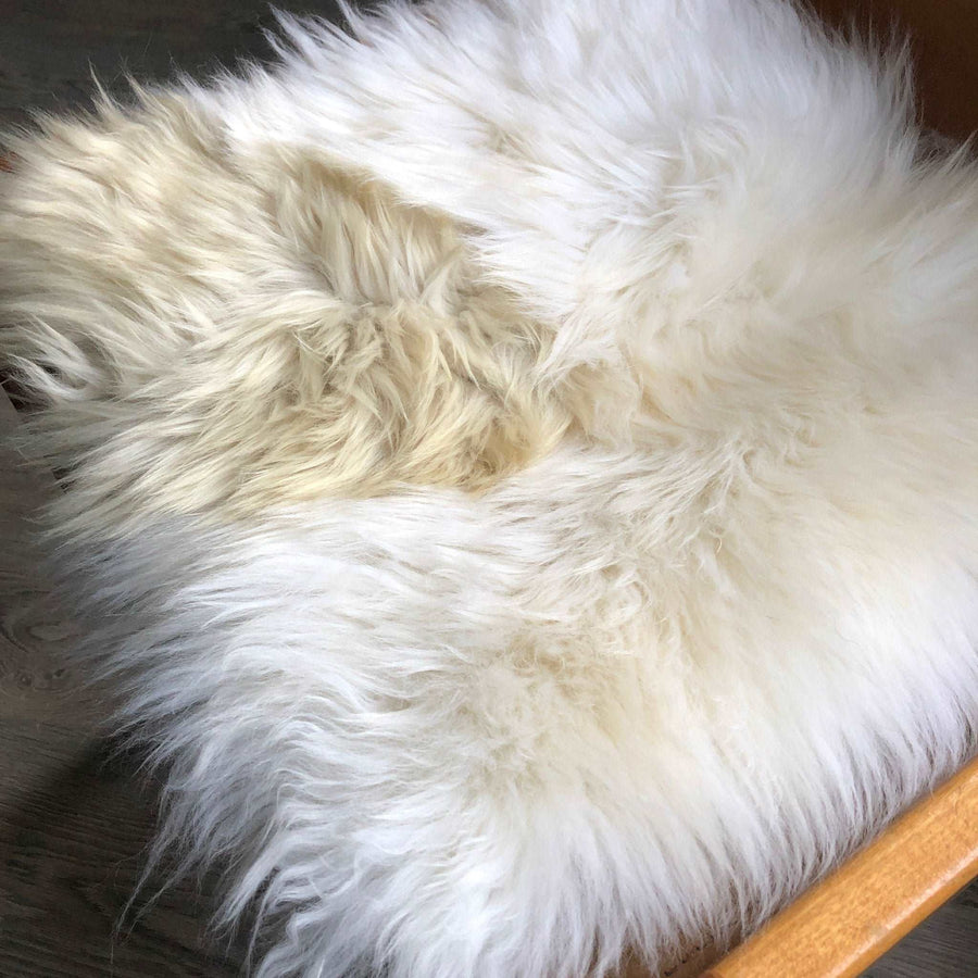 Luxury British sheepskin seat cover, 37cm square, light cream and brown rare breed, premium natural hide, hypoallergenic, therapeutic, sustainable by Wildash London at brixbailey.com