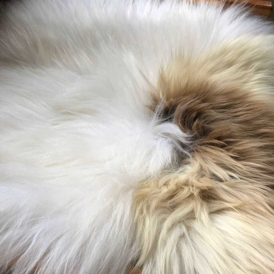 Luxury British sheepskin seat cover, lights cream with brown rare breed mix, 37cm x 37cm, premium natural hide, handcrafted, therapeutic hypoallergenic by Wildash London at brixbailey.com