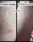 Chamomile Geranium & Lavender Cream - Transform Your Skin, Transform Your Life!