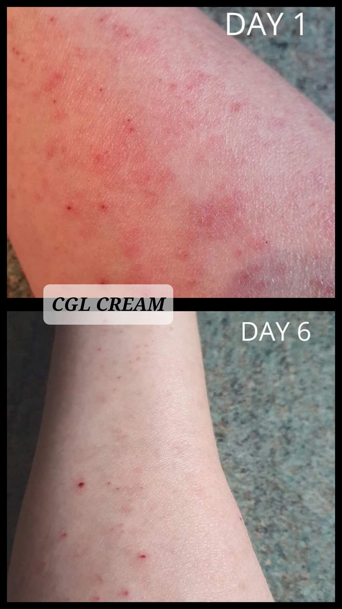 Chamomile Geranium &amp; Lavender Cream - Transform Your Skin, Transform Your Life!