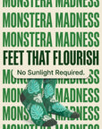 Monstera Madness