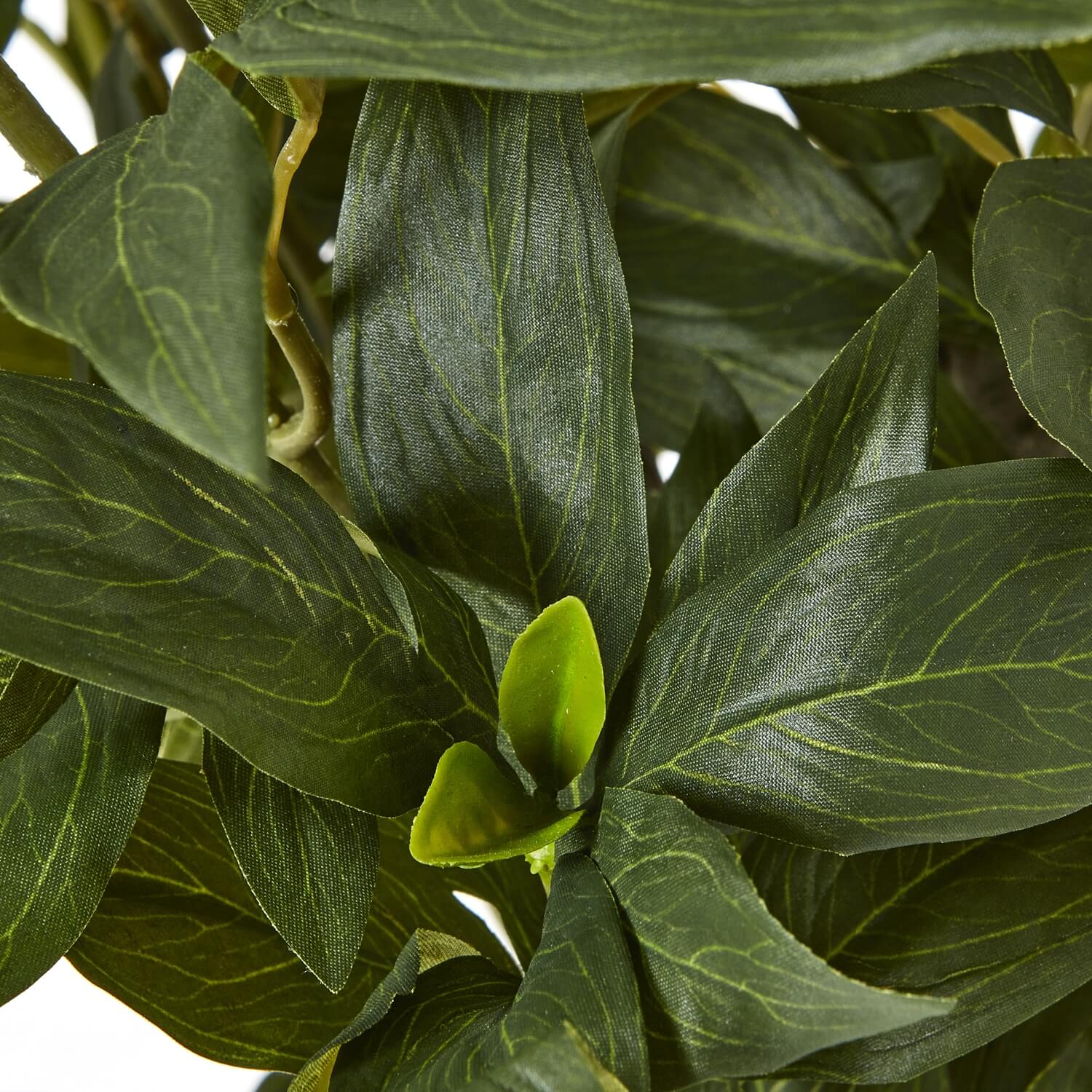 White Peony Bush in Pot with Lifelike Flowers