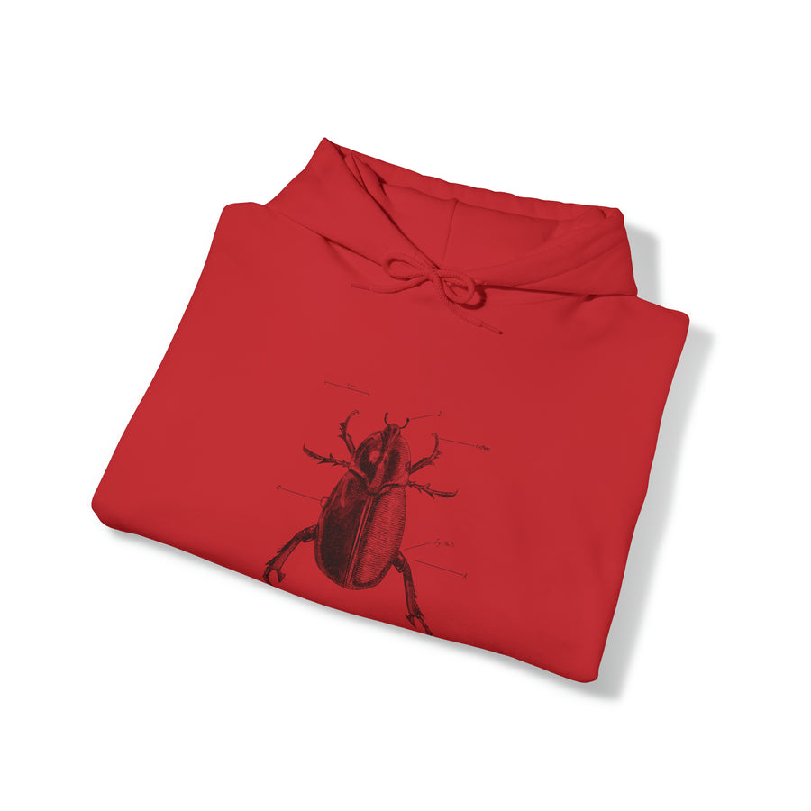 Graphic Insect Print Unisex Hooded Sweatshirt